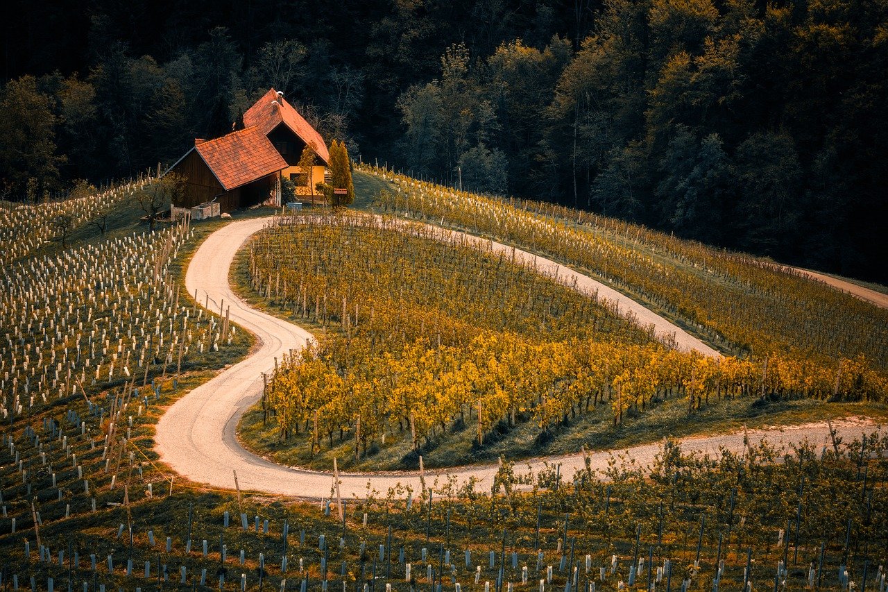 slovenija